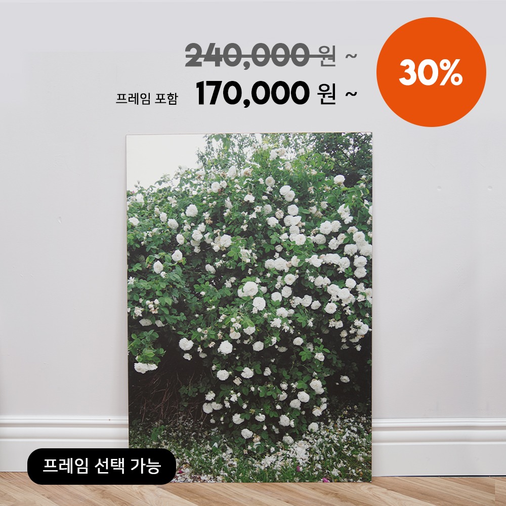 [리퍼 10] White roses